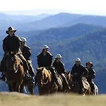 Manna Tree Farm - Modern 3Br House On 100 Acres L Mountain Views L Wifi L Bbq L Wood Fire