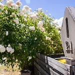 Bogong Arms