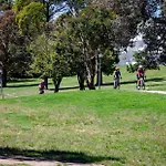 Kirwan 19