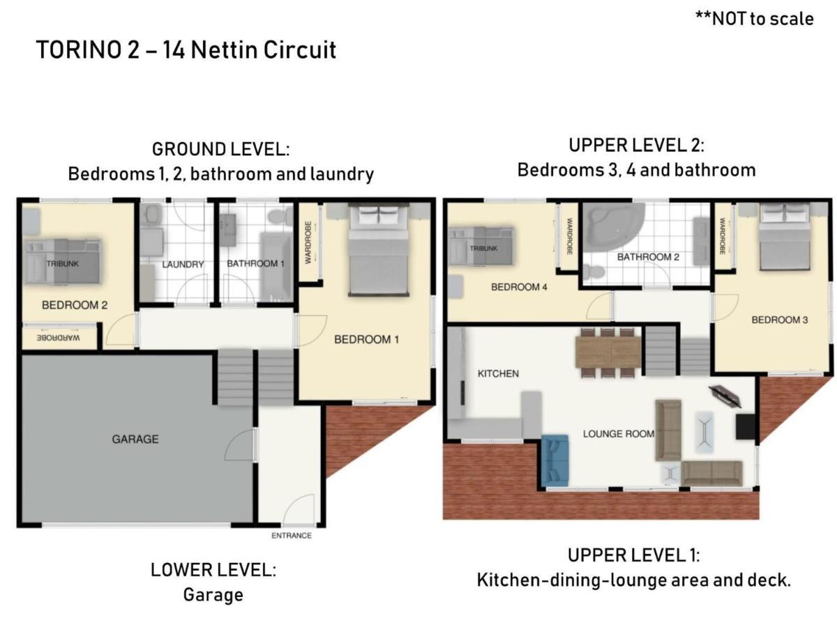 Torino 2 14 Nettin Circuit * Jindabyne