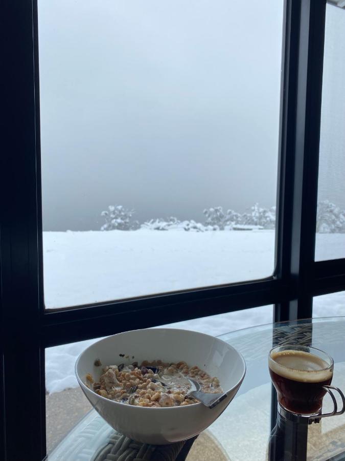 Lodge Altitude 1260