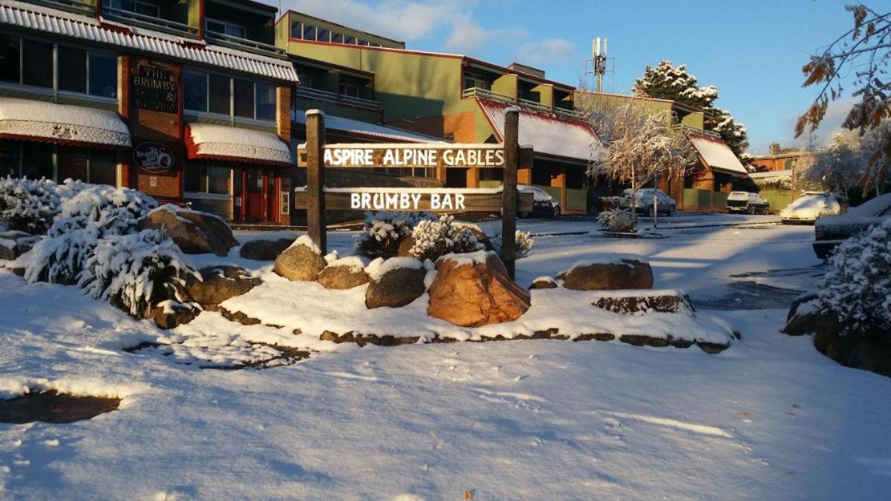 27 Alpine Brumby