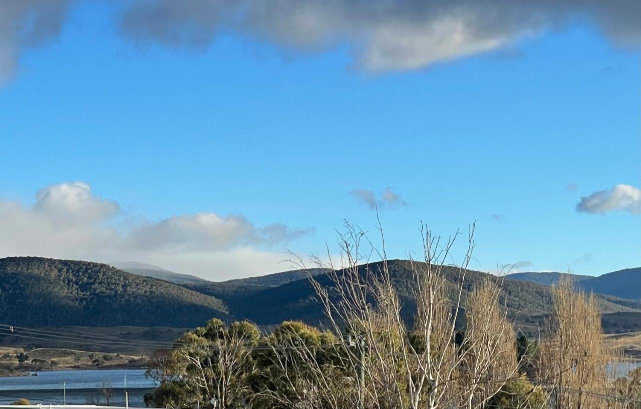 27 Alpine Brumby