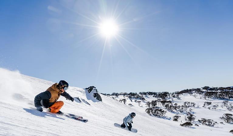 Apartment 27 Alpine Brumby