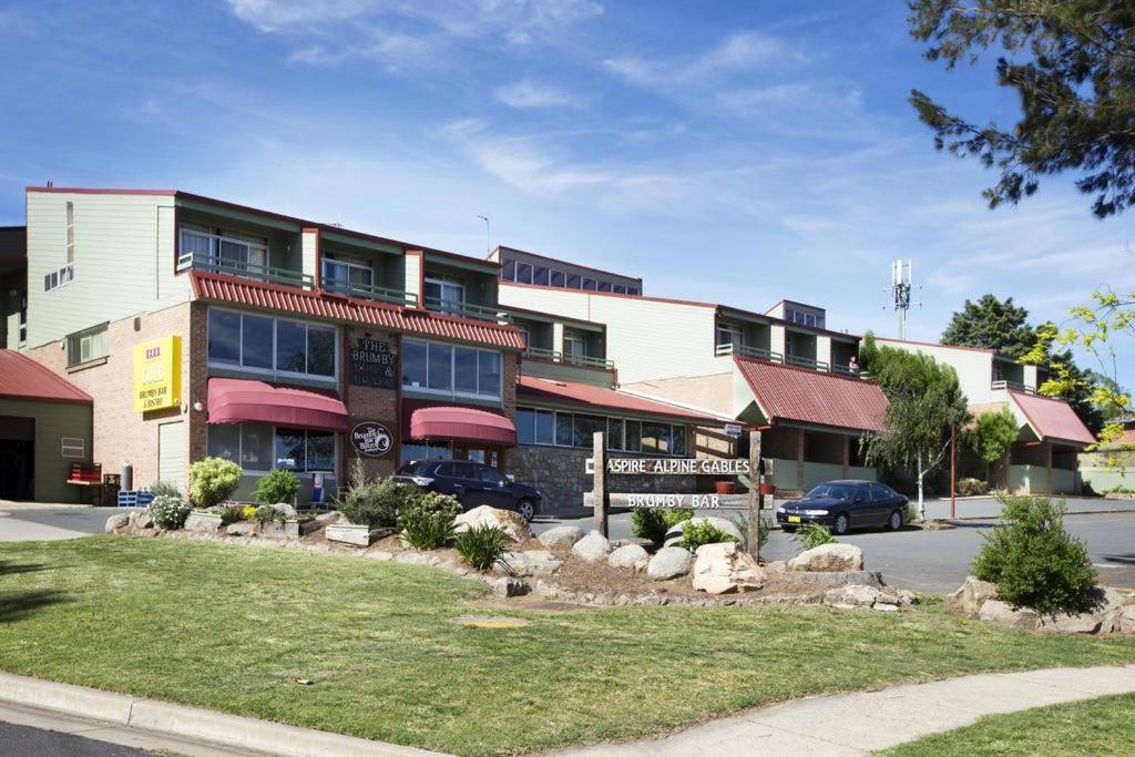 27 Alpine Brumby * Jindabyne