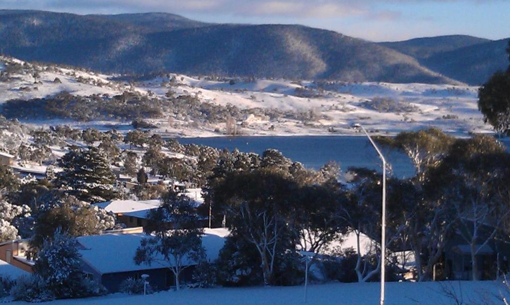 27 Alpine Brumby Jindabyne