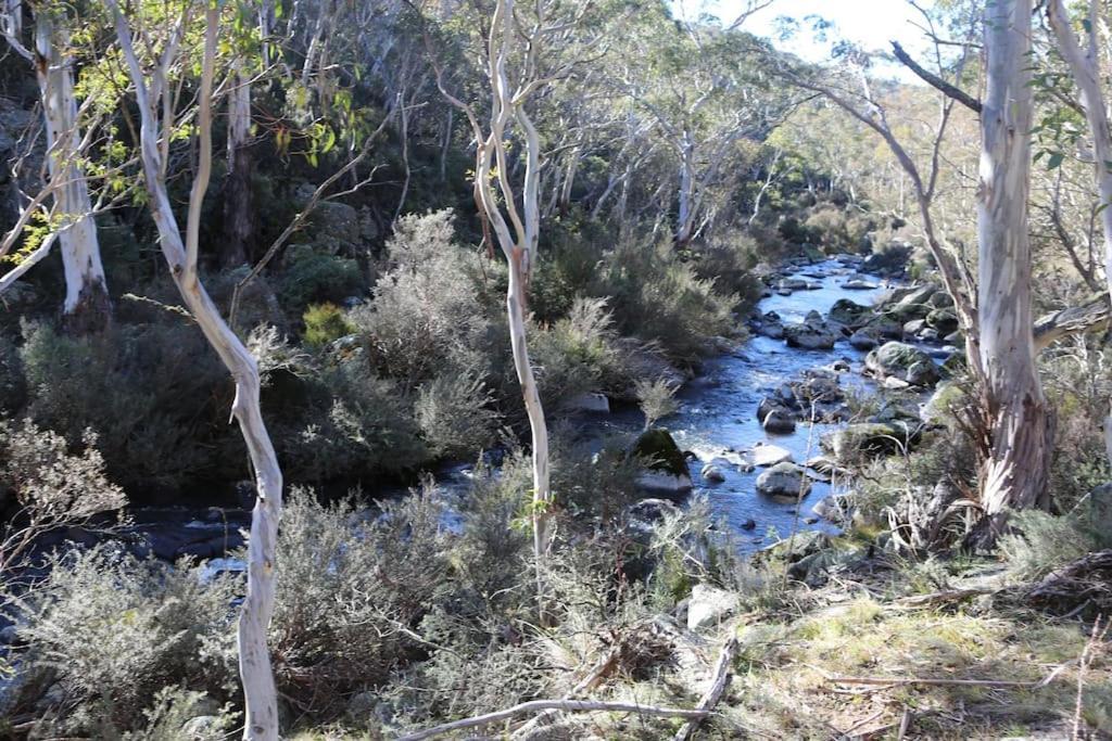 Big Yard Escapes - Two Off-grid Tiny On The Mowamba River Campsite Jindabyne