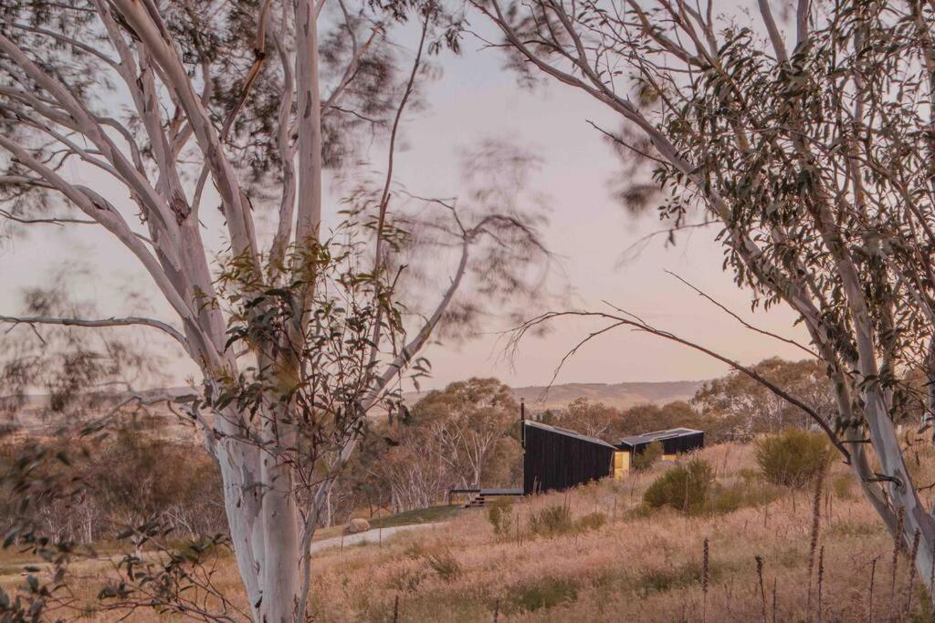 Common Kosci - Luxury Bespoke In The Snowies Holiday home Jindabyne
