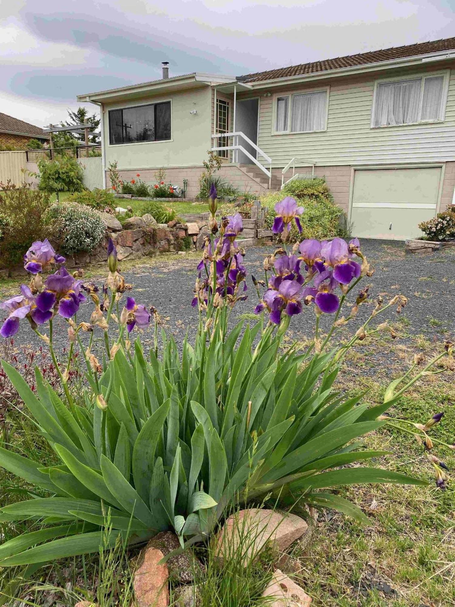 Holiday home Jindaburra Jindabyne