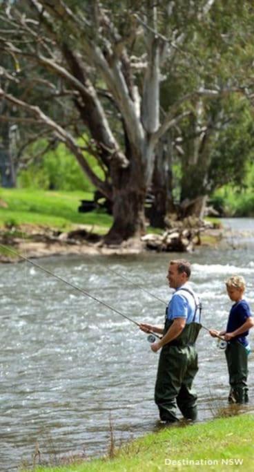 Campsite Big Yard Escapes - Two Off-grid Tiny On The Mowamba River *