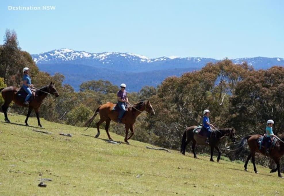 Campsite Big Yard Escapes - Two Off-grid Tiny On The Mowamba River Jindabyne