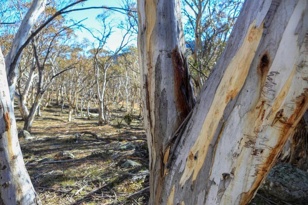 Big Yard Escapes - Two Off-grid Tiny On The Mowamba River * Jindabyne