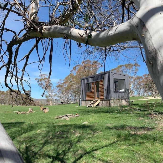 Big Yard Escapes - Two Off-grid Tiny On The Mowamba River
