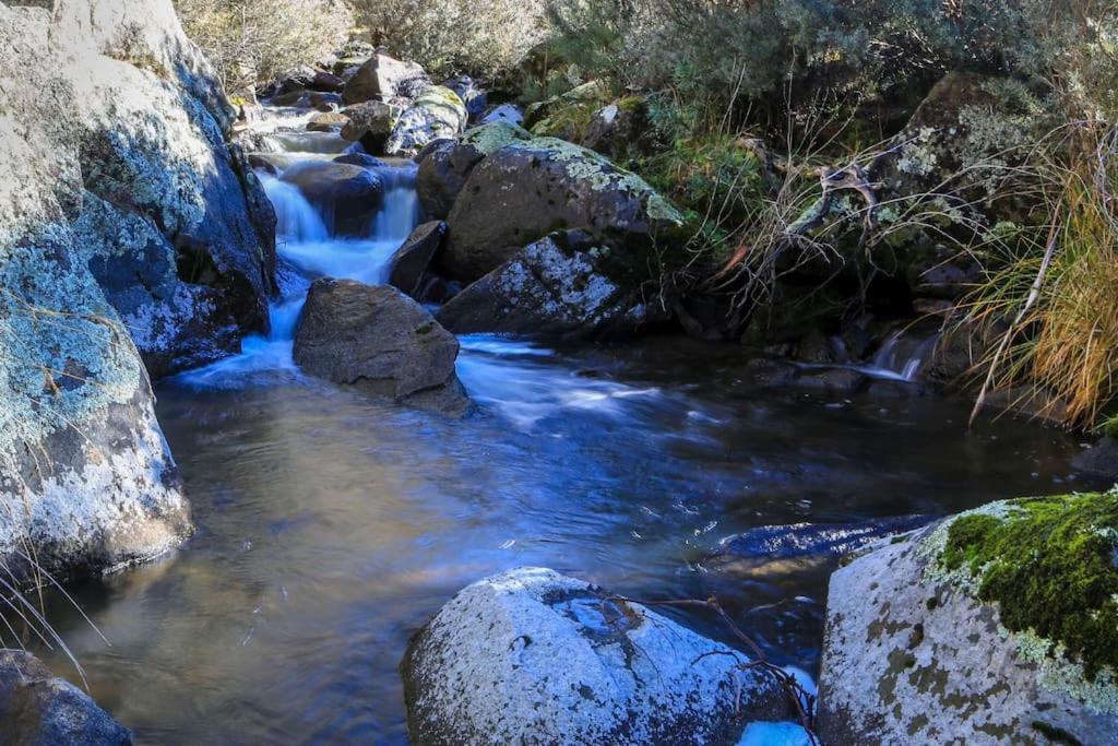 Big Yard Escapes - Two Off-grid Tiny On The Mowamba River
