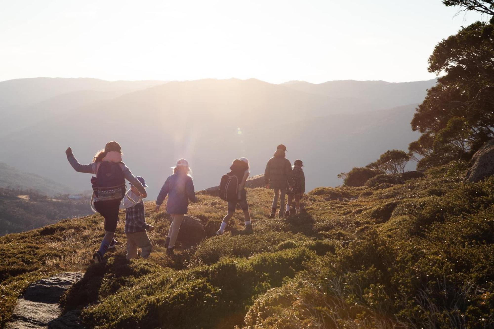 Wild Pines * Jindabyne