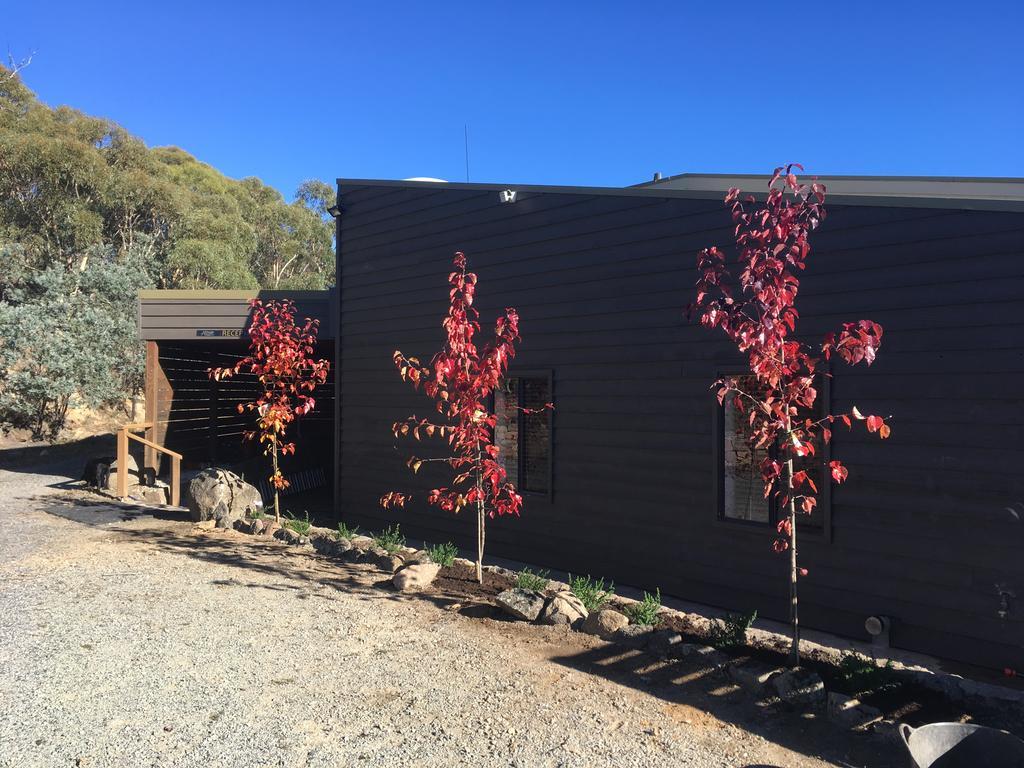 Lodge Altitude 1260