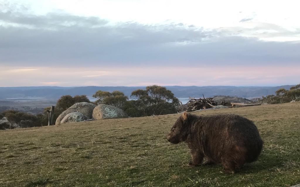 Lodge Altitude 1260 Jindabyne