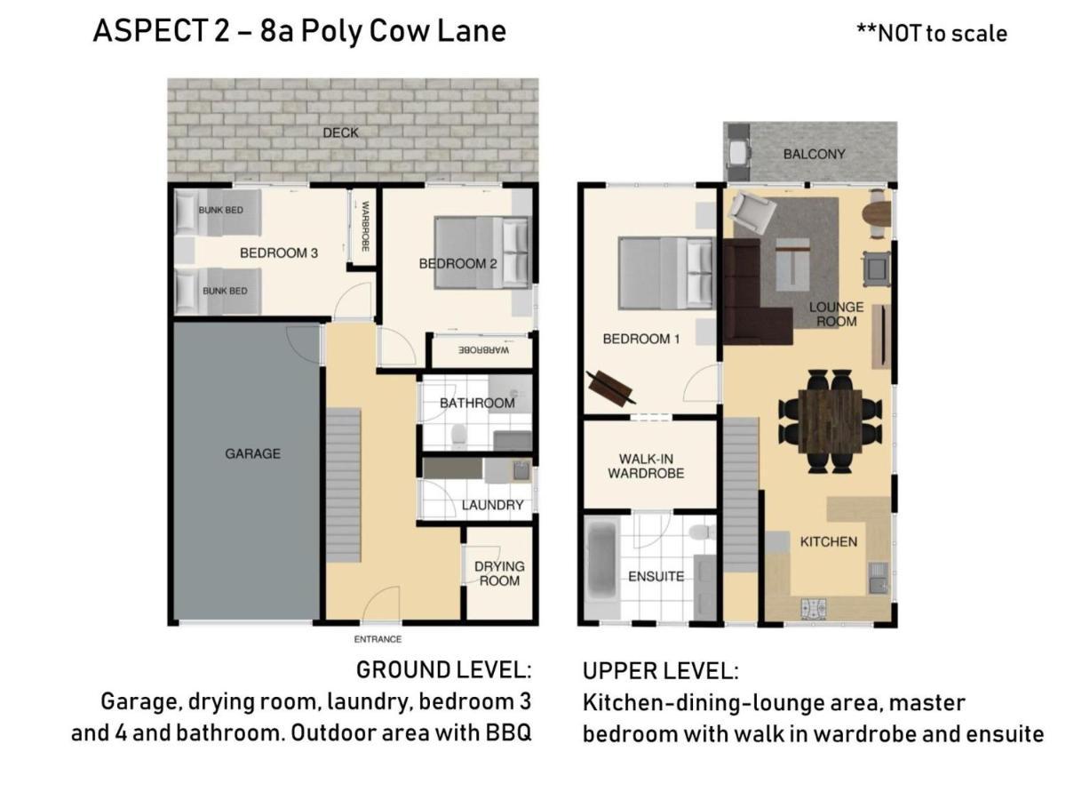 Aspect 2 8 Poley Cow * Jindabyne