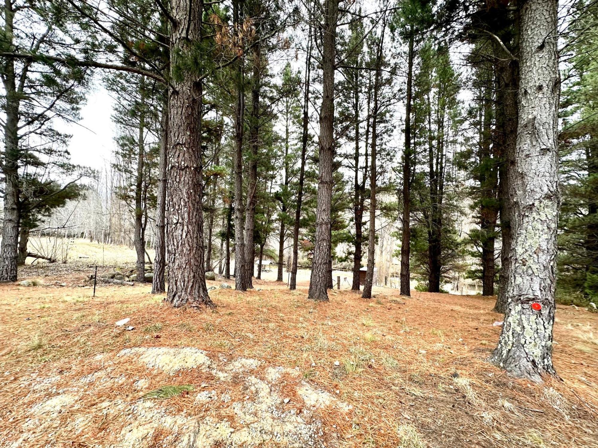 Lodge Carinya Village Jindabyne Jindabyne