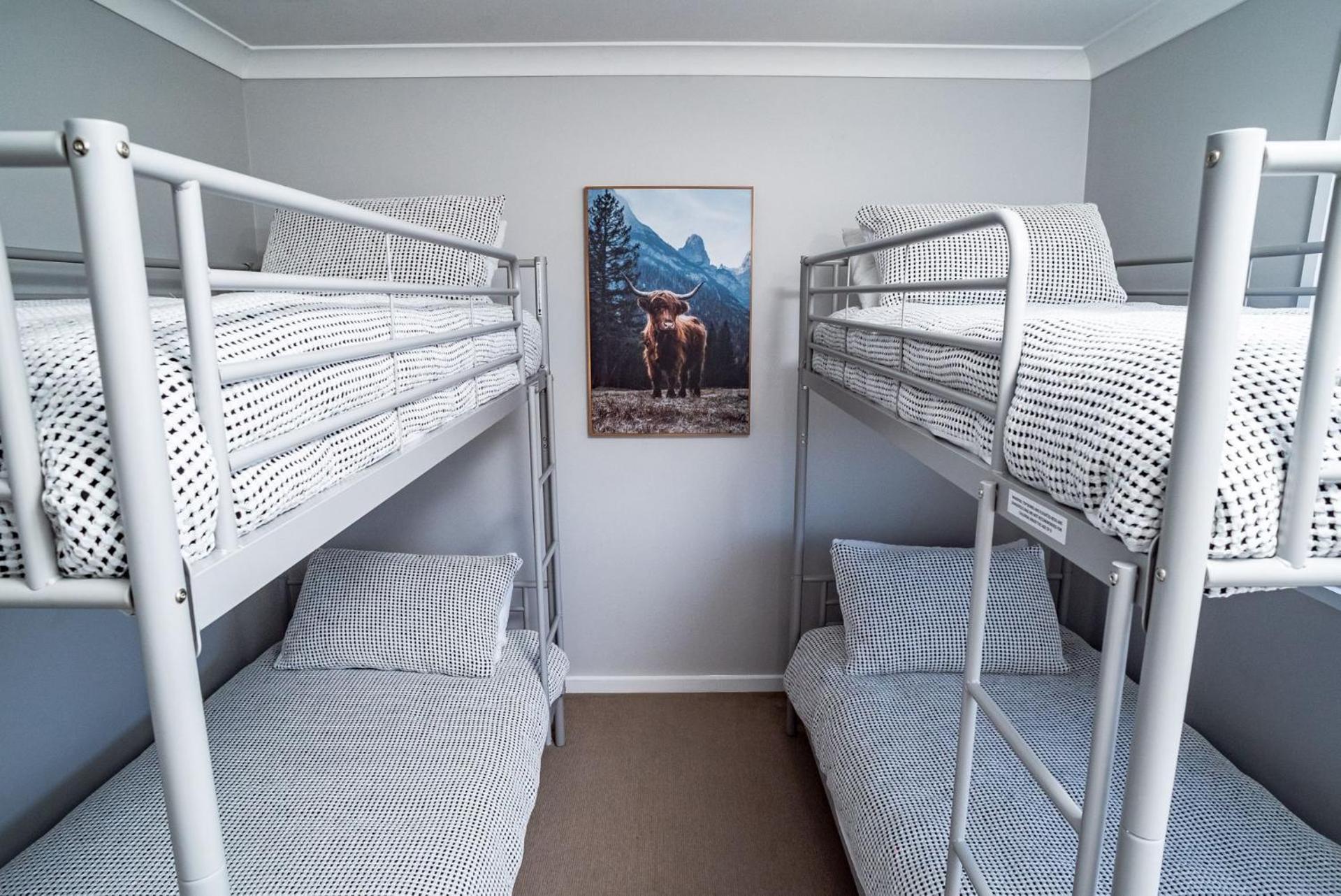 Aspect 2 8 Poley Cow