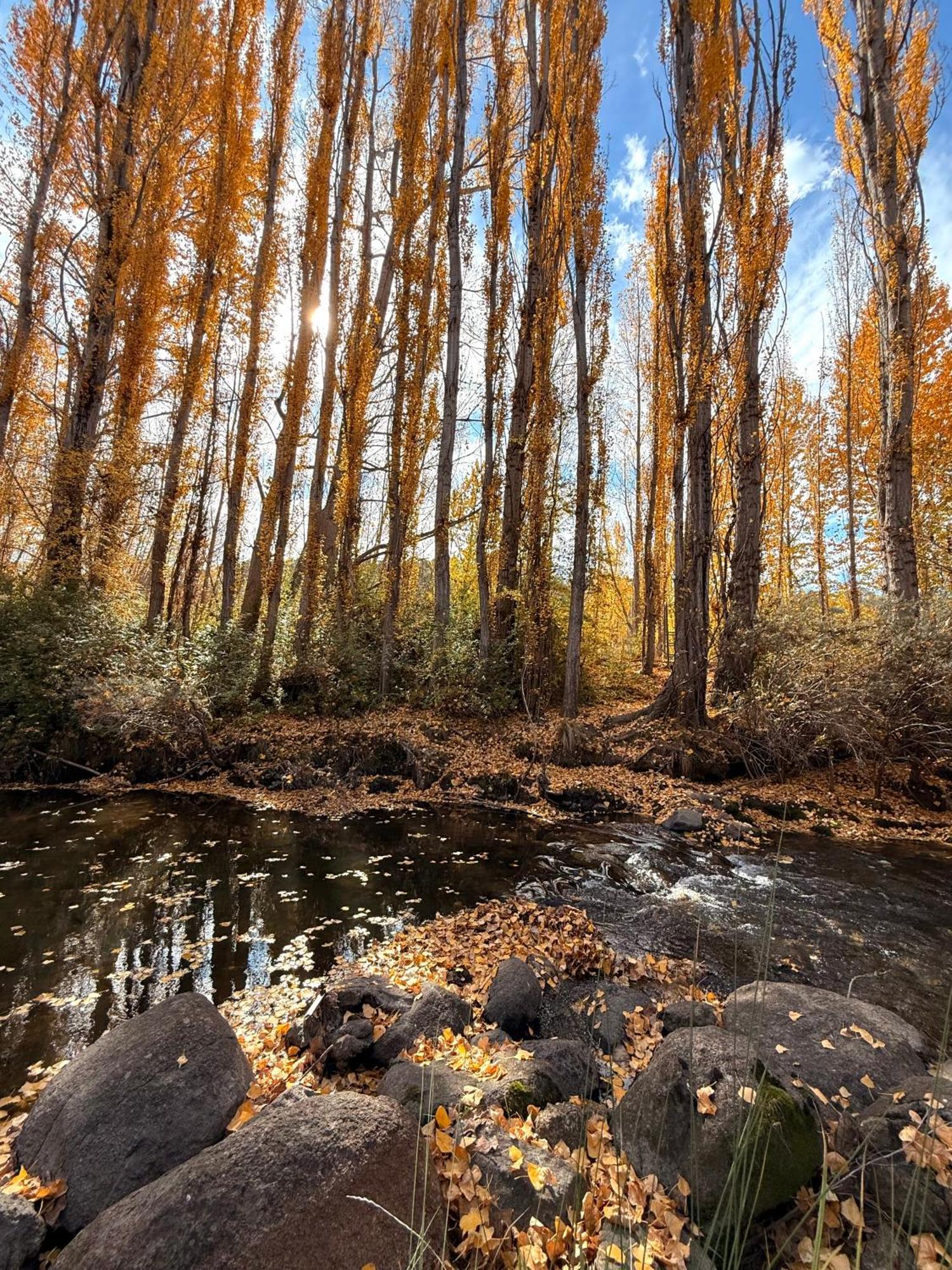 Carinya Village Jindabyne Jindabyne