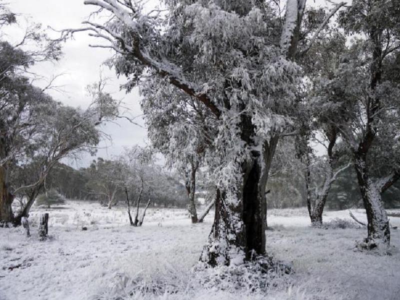 Yuki Jindabyne