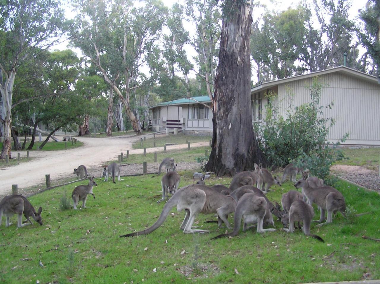 Kosciusko Tourist Park Holiday park Jindabyne